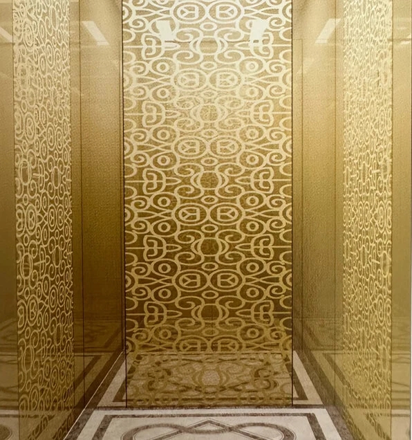 MRL Villa Elevator