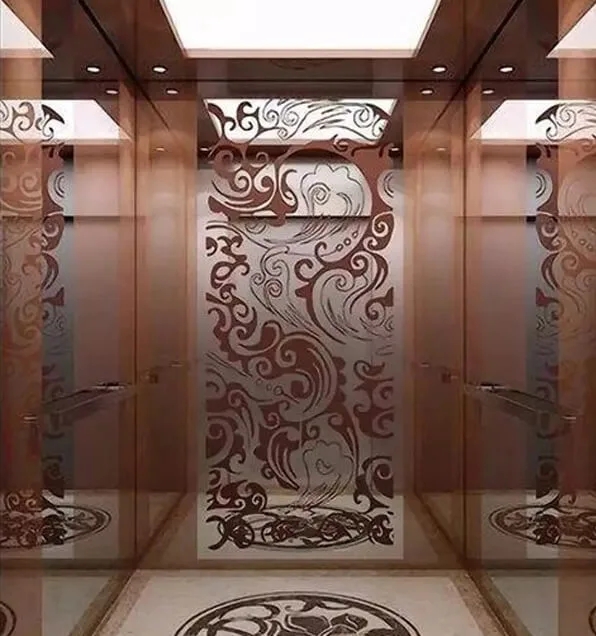 MRL Villa Elevator